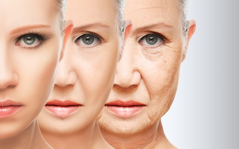 24_biological_aging