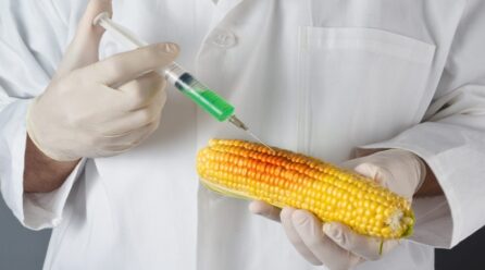 Τεχνολογία γενετικής τροποποίησης για φυτοφάρμακα χρησιμοποιήθηκε από Pfizer & Μoderna στα εμβόλια για Covid-19!