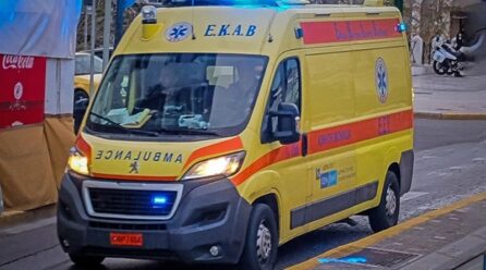 Έλεος με τους ανεύθυνους φιλόζωους. Σοβαρός τραυματισμός 66χρονου